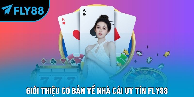 Giới thiệu cơ bản về nhà cái uy tín Fly88