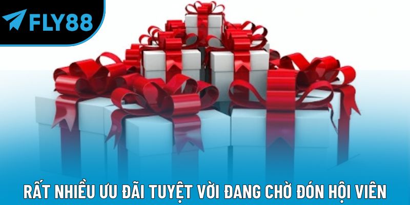 Rất nhiều ưu đãi tuyệt vời đang chờ đón hội viên